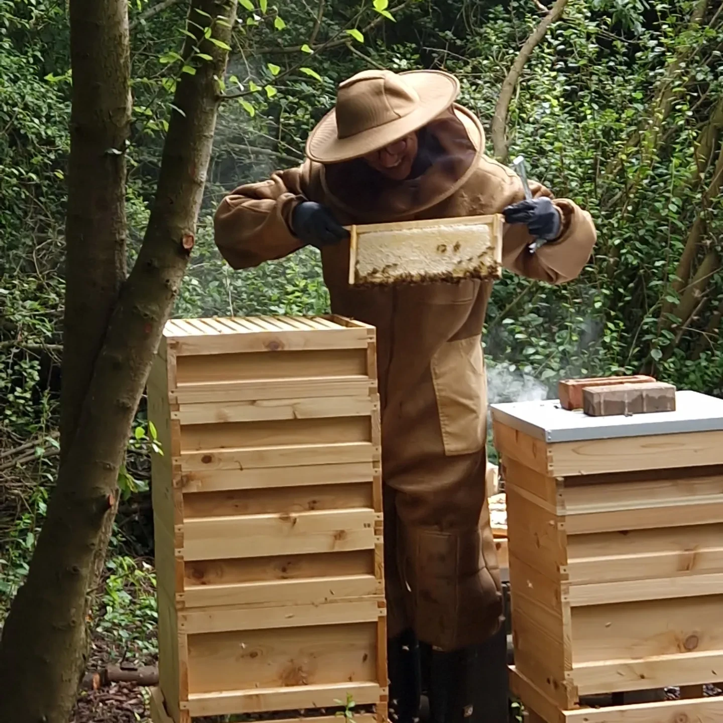 Sunny tending the hives