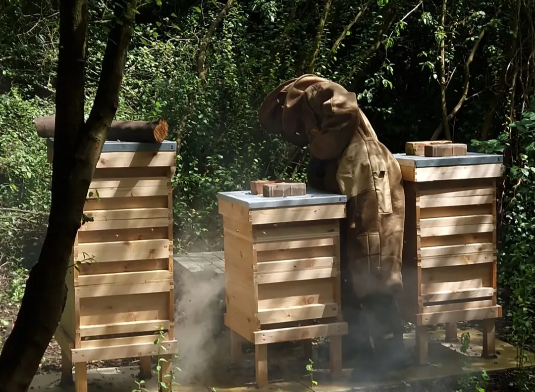 Sunny, beekeeper and founder of Sunny's Bees